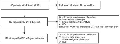 Microstructural alterations in white matter and related neurobiology based on the new clinical subtypes of Parkinson's disease